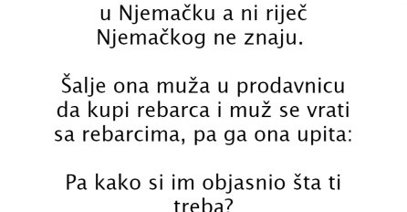 VIC DANA: Muž i žena iz Bosne otišli raditi u Njemačku a ni riječ NE ZNAJU