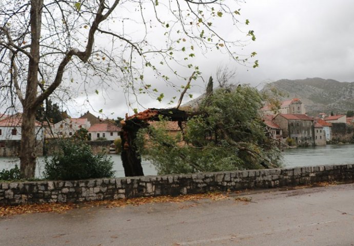 Nevrijeme pogodilo Trebinje, voda ušla u kuće, stablo polomljeno