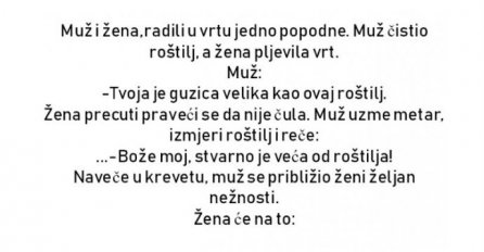 VIC DANA: Muž i žena u vrtu
