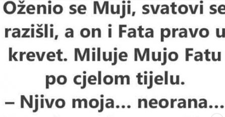 VIC ; Oženio se Mujo