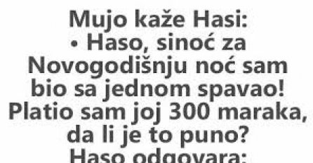 VIC: Mujo i novogodišnja noć