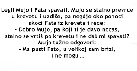 VIC DANA: Legli Mujo i Fata spavati