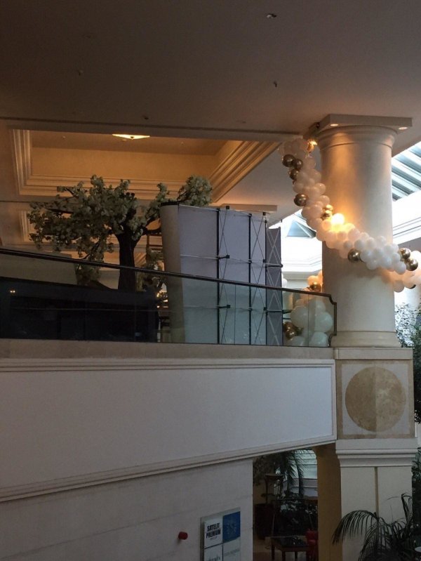 76651472-2593647584037469-1082108351573131264-n-1000x0