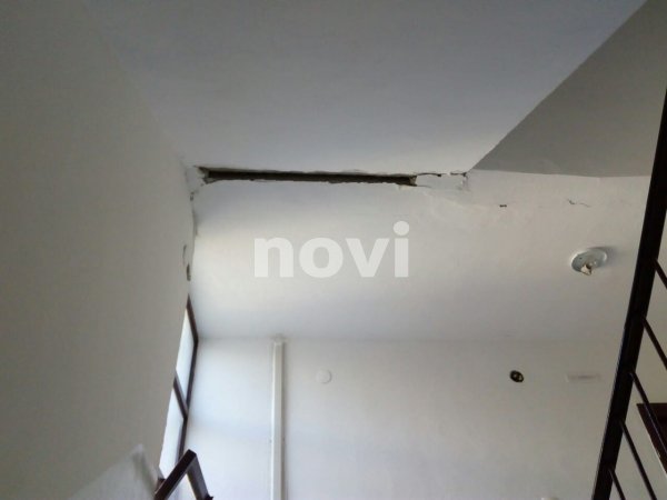 74330076-2785868611463966-4505660077801209856-n