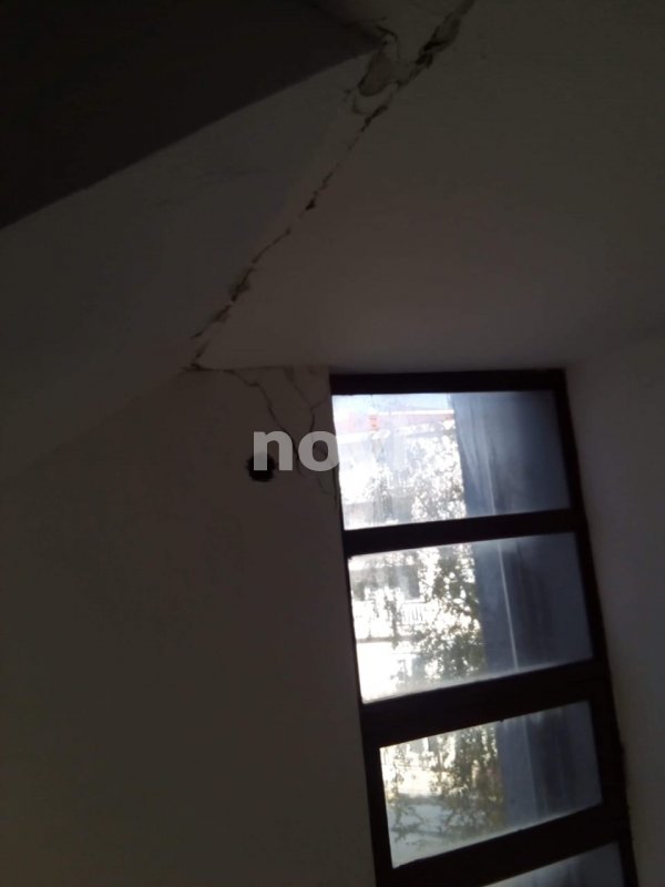 78420379-554248535398607-8529392883319439360-n