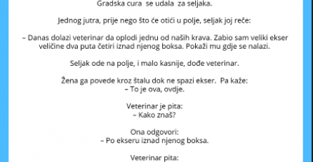 VIC DANA: Seljak oženio gradsku curu