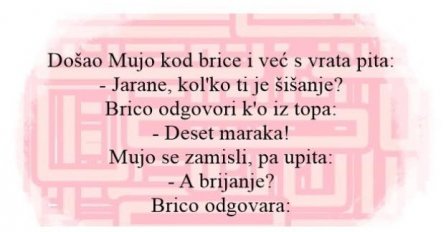 VIC: Došao Mujo kod brice