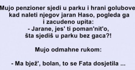 VIC: Mujo penzioner sjedi u parku