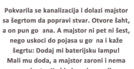 VIC DANA: Majstor i šegrt