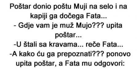 VIC: Poštar donio Muji poštu