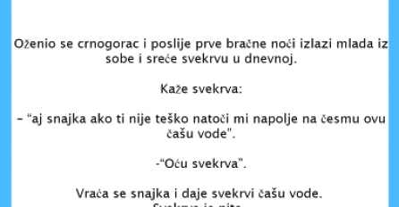 VIC DANA: Svekrva i snaha
