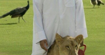 Divlje životinje im kućni ljubimci, svi redom imaju ZLATNE ZUBE: Pogledajte kako žive ljudi u Dubaiju, Fotografije koje ostavljaju BEZ TEKSTA!