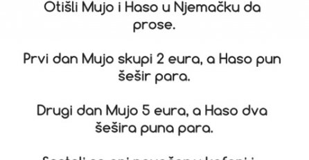 VIC DANA: Otišli Mujo i Haso u Njemačku da prose