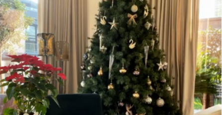 Gdje jelka treba da vam stoji u sobi ako želite ZDRAVLJE, a gdje NOVAC i slavu u 2020.?