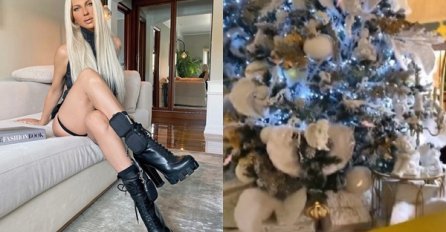 OGROMAN POKLON ISPOD JELKE, KARLEUŠA SE POHVALILA NA INSTAGRAMU: Kad vidite šta je dobila, UHVATIT ĆETE SE ZA GLAVU