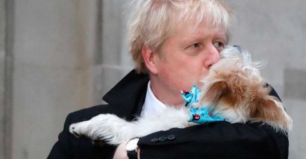 Gužva na glasanju u Britaniji, Džonson poveo psa