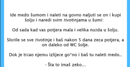 VIC DANA: Medo, zeko i leptir