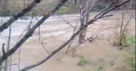 KATAKLIZMA, IZNENADA UDARILA SNAŽNA OLUJA, IMA MRTVIH, HITNA SKUPLJA POVRIJEĐENE: Poplava bjesni, nosi sve pred sobom!  (SNIMAK SA LICA MJESTA)