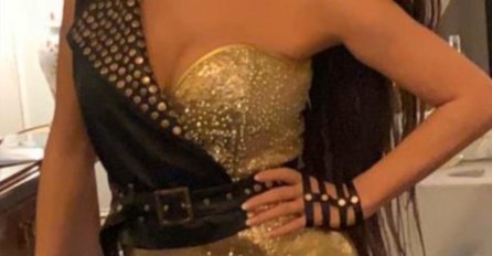 CECA O OVOME GODINAMA ŠUTI: Tajna o SVETLANI RAŽNATOVIĆ koja će vas ostaviti BEZ DAHA! Ni njena djeca ne znaju!