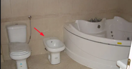 ZNATE LI ČEMU ZAISTA SLUŽI BIDE? MNOGI POJMA NEMAJU: Ovo je njegova PRAVA SVRHA