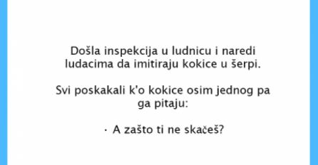 VIC DANA: Inspekcija u ludnici