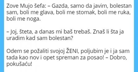 VIC: Zove Mujo šefa