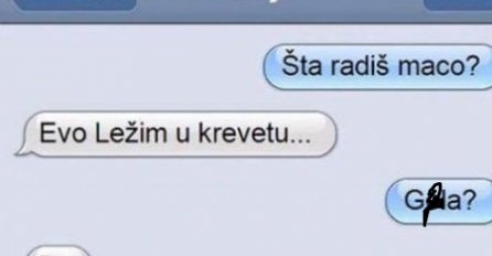 POSLALA SAM DEČKU SVOJU "VRELU" SLIKU, A KAD JU JE UGLEDAO NIJE MOGAO DOĆI SEBI!  Ovaj odgovor će zapamtiti do kraja života!