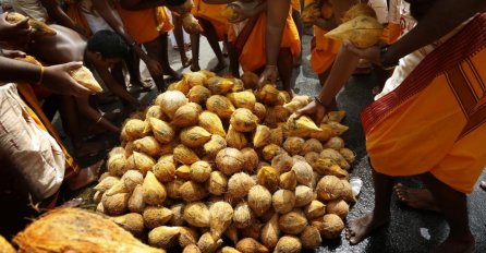 Na Filipinima devetero mrtvih: Pili alkoholno piće od kokosa