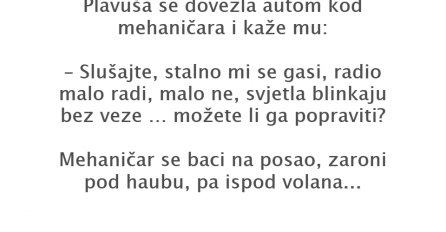 VIC DANA: Plavuša kod automehaničara