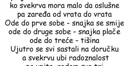 VIC DANA: Svekrva prisluškuje
