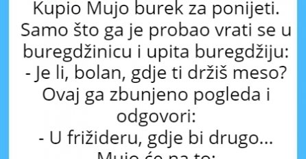 VIC: Mujo i burek