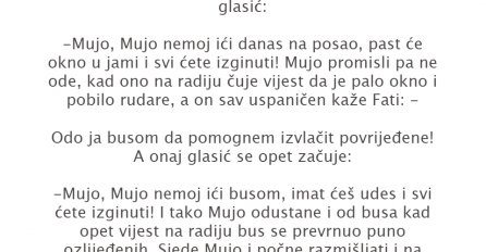 VIC DANA: Mujo i sićušni glasić