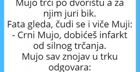 VIC DANA: Muju juri bik