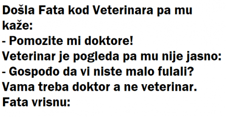 VIC: Fata kod veterinara