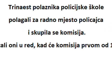 VIC DANA: Policajac i Nova godina