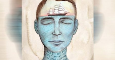 NAJKRAĆI TEST NA SVIJETU POKAZUJE KOLIKO STE ZLI: Recite nam šta ste prvo ugledali na slici! TEŠKO VAMA AKO JE OVO!