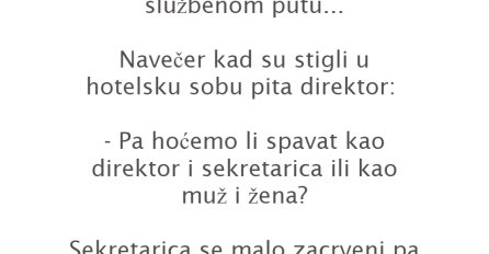 VIC DANA: Direktor i sekretarica na službenom putu