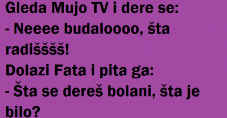 VIC: Mujo gleda TV