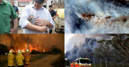 U katastrofalnim požarima poginulo 25 osoba, uginulo više miliona životinja
