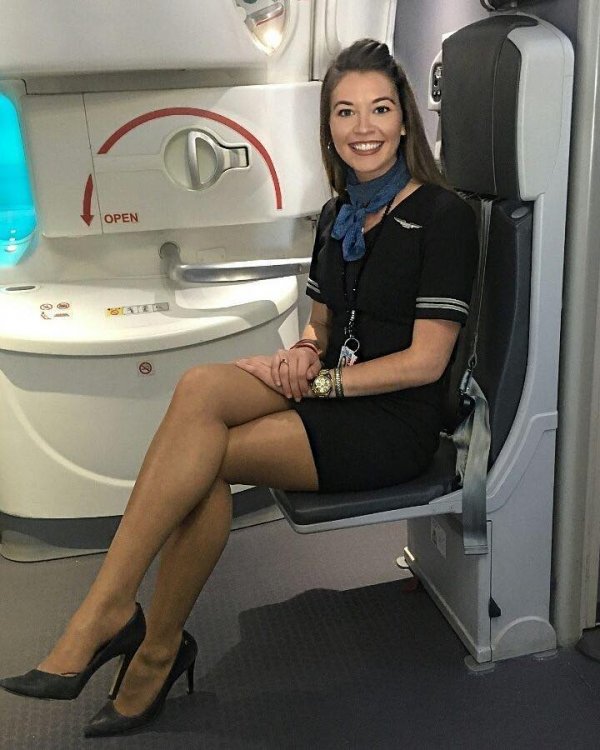 stjuardesa