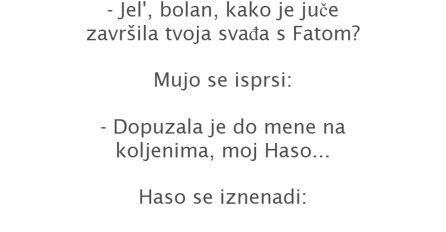 VIC: FATA NA KOLJENIMA