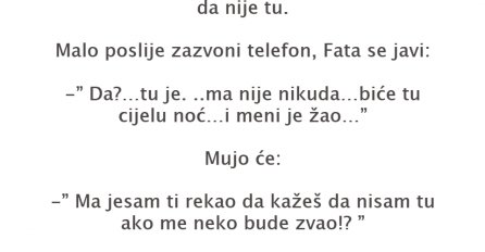 VIC DANA: Mujo je tu