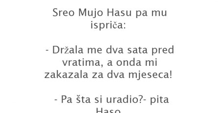 VIC DANA: Doktorica Fata