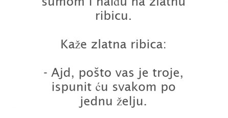 VIC: FATA, MUJO I MALI MUJICA U ŠUMI