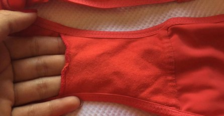 NISMO MOGLI NI SLUTITI: Evo čemu služi "džepić" na ženskim gaćicama! (FOTO)