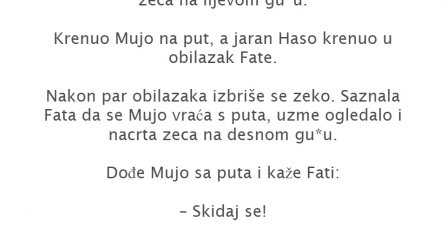 VIC DANA: MUJO I ZEKO