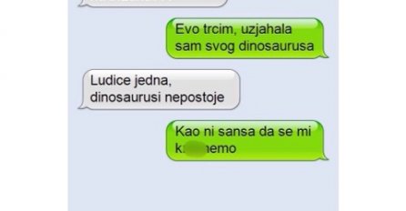 ZVAO ME DA BRZO DOĐEM DO NJEGA, ALI KAD JE DOBIO MOJU ZADNJU PORUKU NIKAD MU GORE NIJE BILO: Ovakav odgovor nije sanjao ni u najluđim snovima, BRUKA ZA CIJELI ŽIVOT!