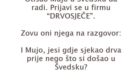 VIC DANA: MUJO DRVOSJEČA
