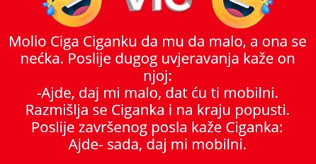 VIC:Moli ciga ciganku