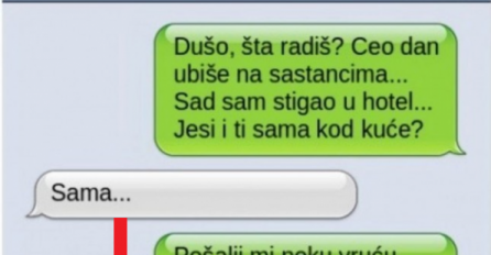 ČITAV DAN SE SMARAM A ONDA MI JE STIGLA "VRUĆA" PORUKA OD NJE I RASPALILA MI MAŠTU: Htio sam da odletim kući što prije, KAKVA ŽENA!